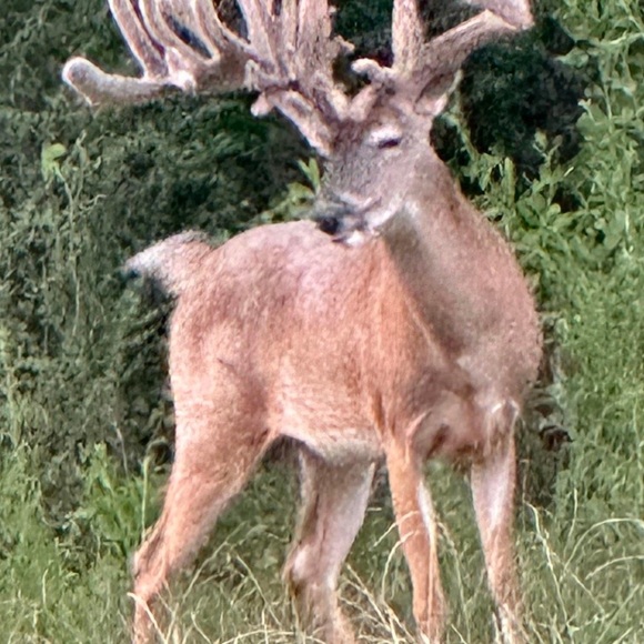 Meet your Posher, Jason - Picture 11 of 16